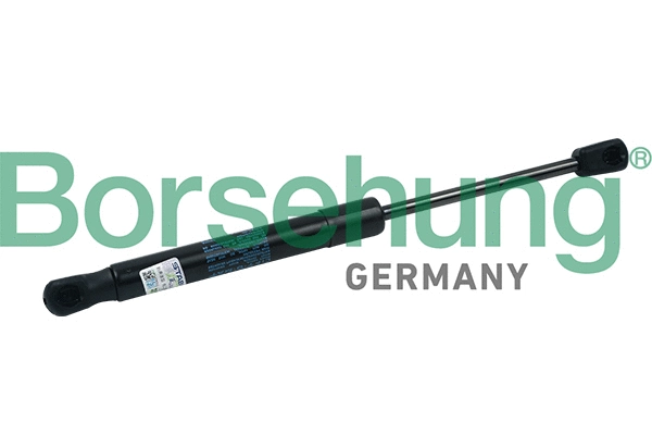 BORSEHUNG B18437