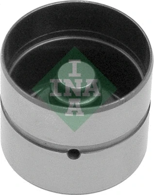 INA 420005810