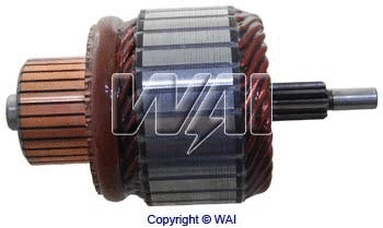WAI 618345