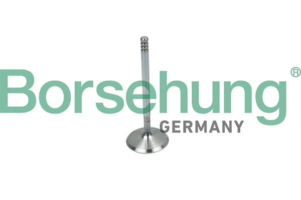 BORSEHUNG B19018