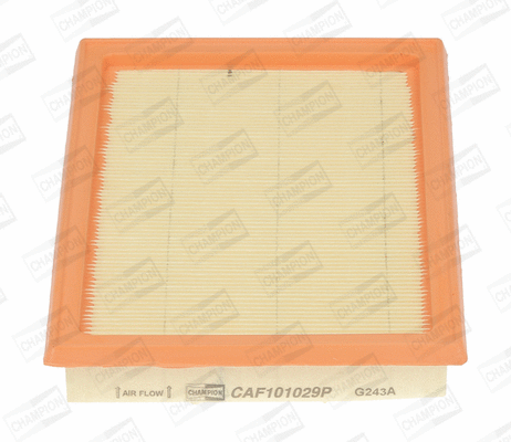 CHAMPION CAF101029P