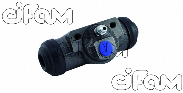CIFAM 101909