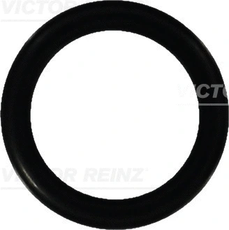 VICTOR REINZ 407605210