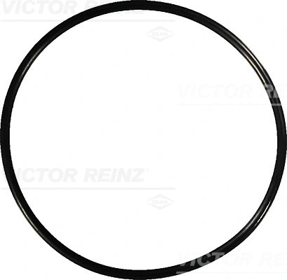 VICTOR REINZ 407674100