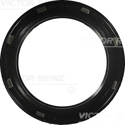 VICTOR REINZ 813803100