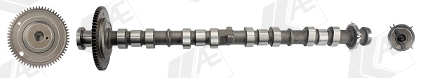 AE CAM1036