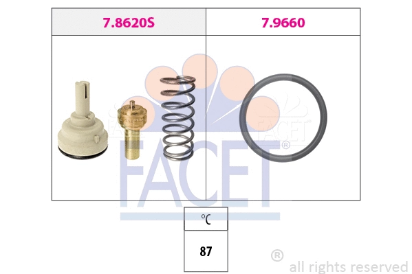 FACET 78620
