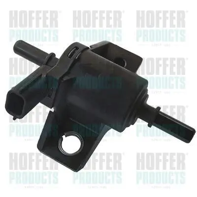 HOFFER 8029326