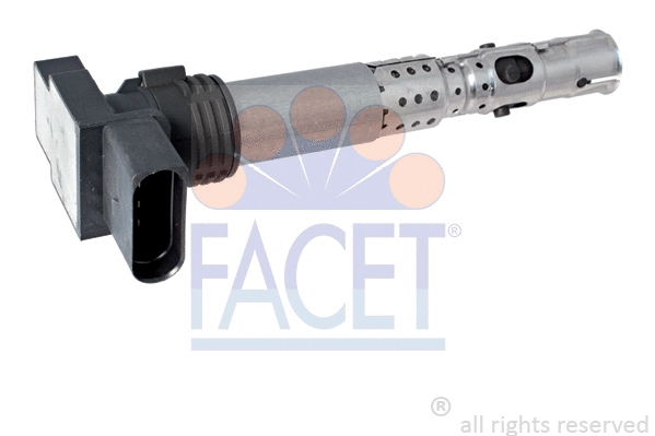 FACET 96331