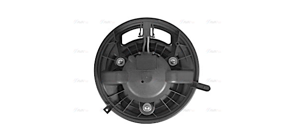 AVA BW8454