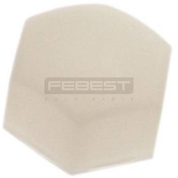 FEBEST NCAPT30