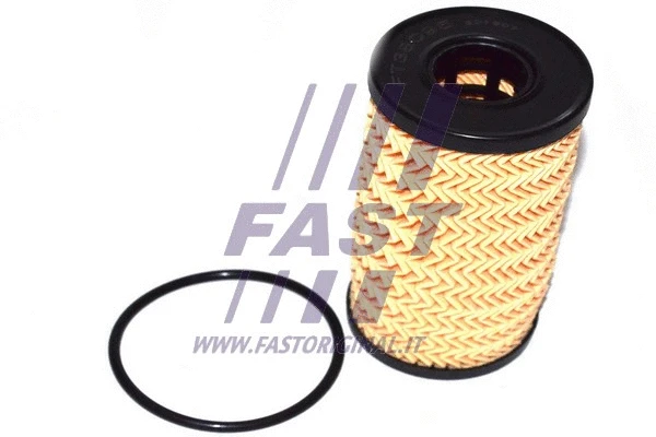 FAST FT38095