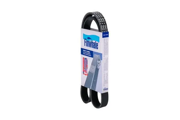FINWHALE BP6PK1043