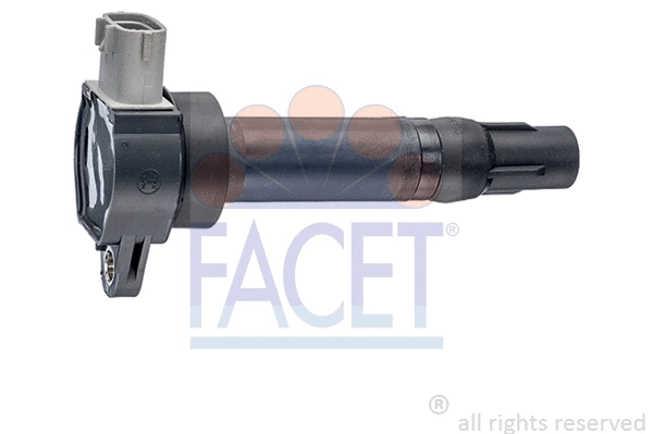 FACET 96405