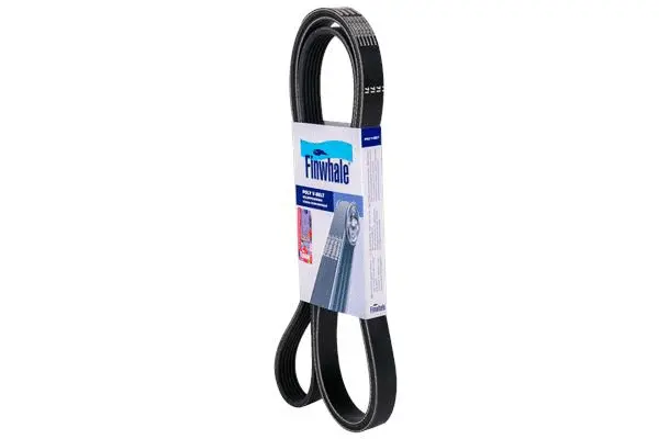 FINWHALE BP4PK773