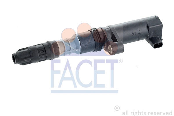 FACET 96332