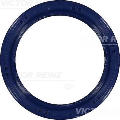VICTOR REINZ 815369900