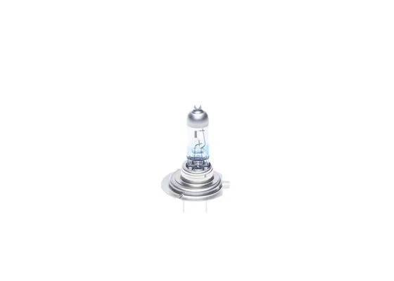 BOSCH 1987301137