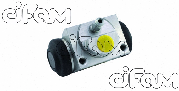 CIFAM 101934