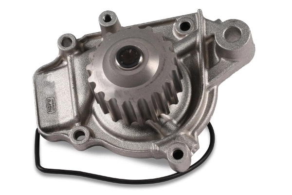 HEPU P046