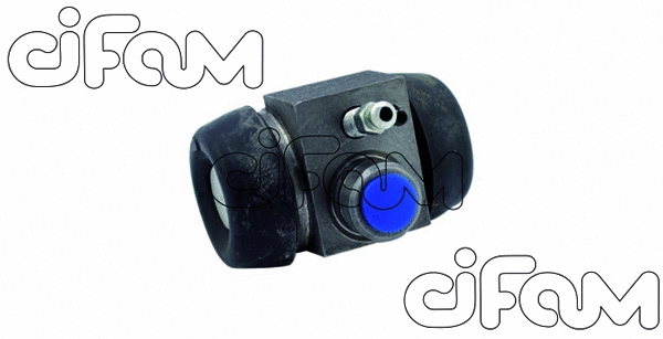 CIFAM 101245