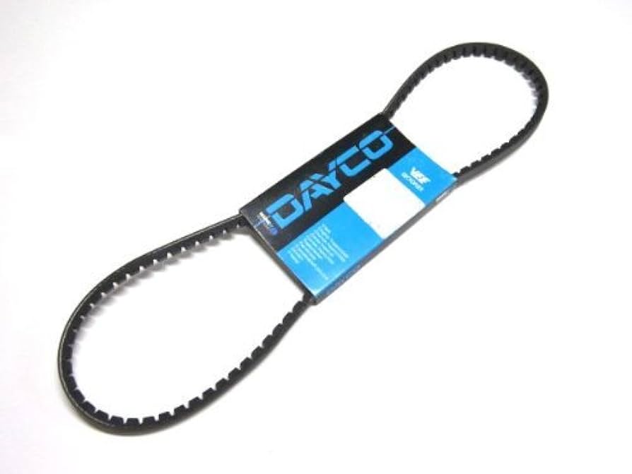DAYCO 10A0970C