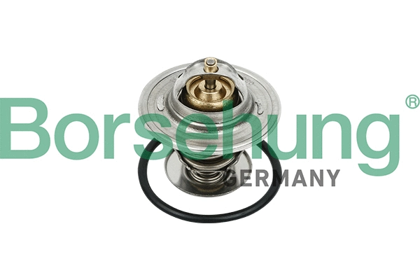 BORSEHUNG B18231