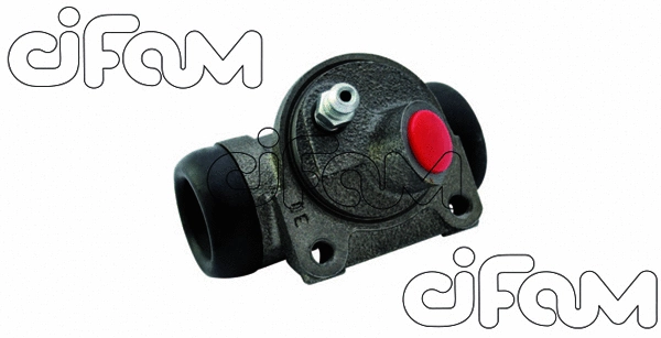 CIFAM 101673