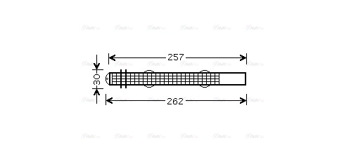 AVA BWD298