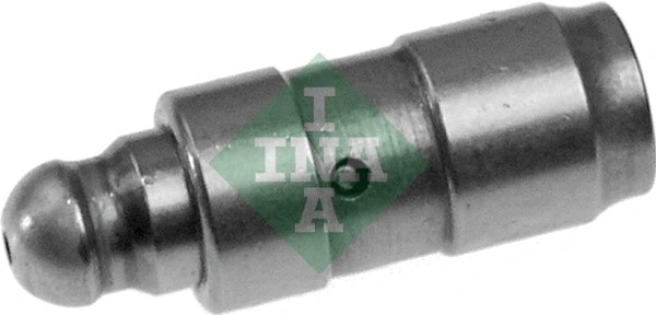 INA 420008210