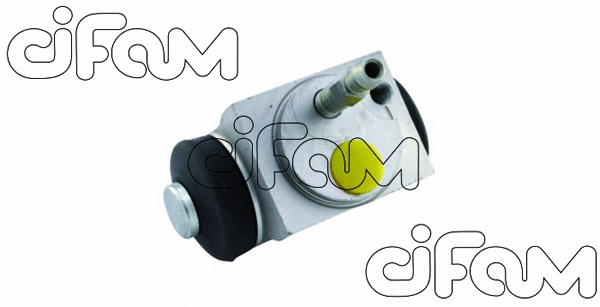 CIFAM 101961