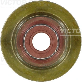 VICTOR REINZ 703524100