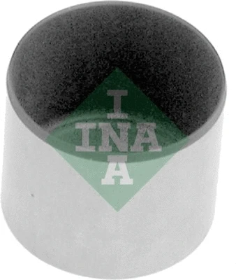INA 421002910
