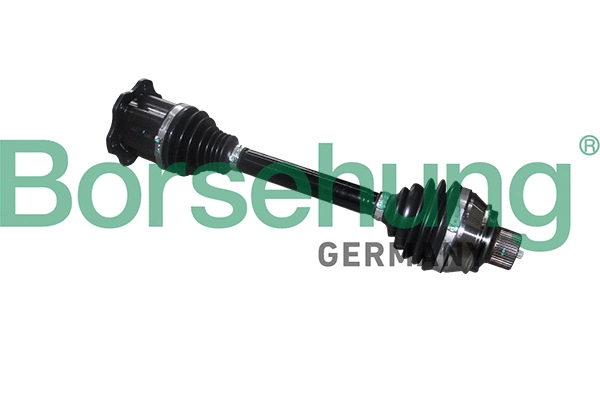 BORSEHUNG B18377