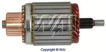 WAI 618325