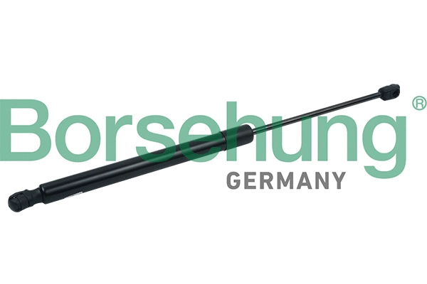 BORSEHUNG B18447