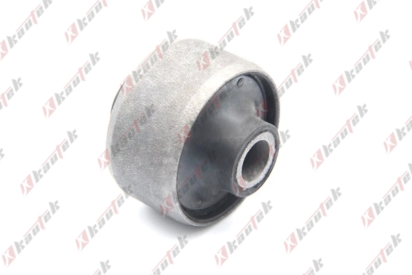 KAUTEK DWBS001
