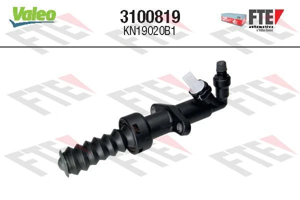 FTE 3100819