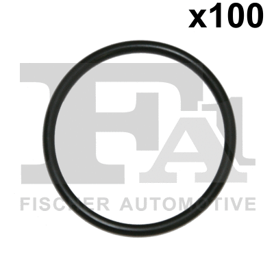 FA1 076394100