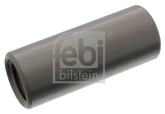 FEBI 06437