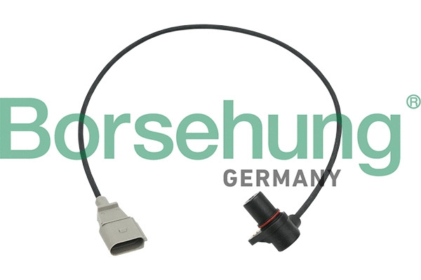 BORSEHUNG B13672