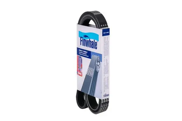 FINWHALE BP6PK1453