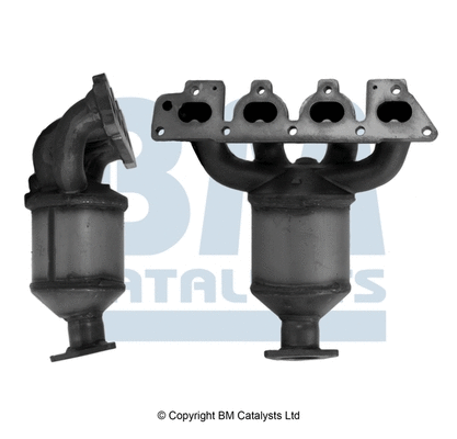 BM CATALYSTS BM91020H