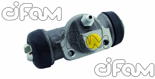 CIFAM 101897
