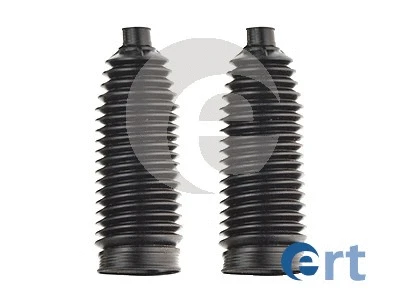 ERT 101738