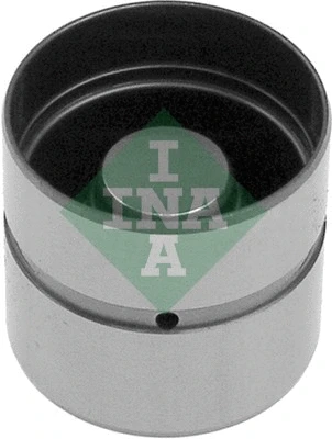 INA 420006610