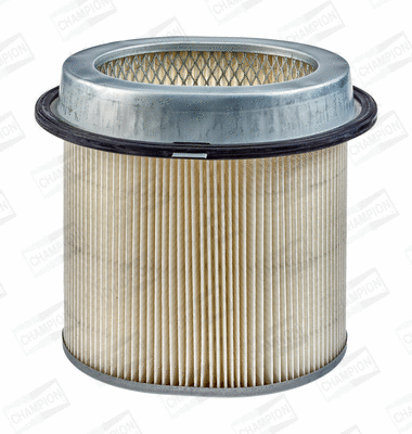 CHAMPION CAF100436C