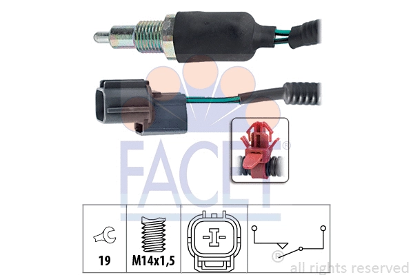 FACET 76174