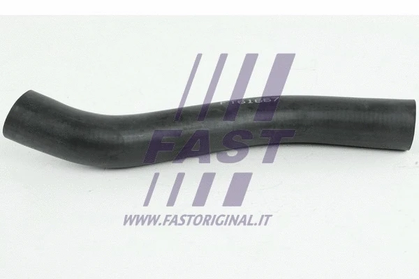 FAST FT61667