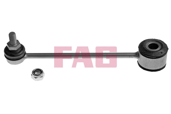 FAG 818031010